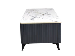 Steven Storage Coffee Table in Onyx Top