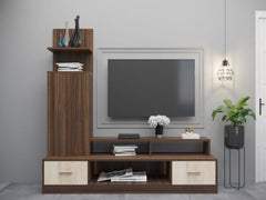 Jupiter Tv Unit