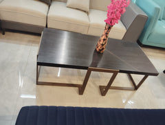 Alpha coffe table
