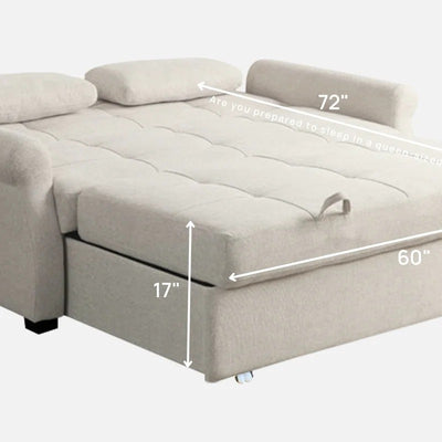 Sofia Sofa Cum Bed