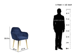 Harley Slipper Chair With Golden Legs