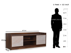 Jason TV Entertainment Unit